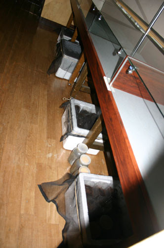 f:id:Naturalhistory:20100629170931j:image