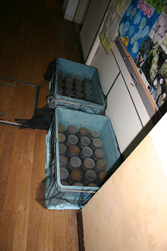 f:id:Naturalhistory:20100629170942j:image