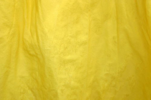f:id:Naturalhistory:20100710143053j:image