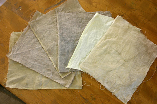 f:id:Naturalhistory:20100710155003j:image