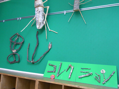 f:id:Naturalhistory:20100713170818j:image