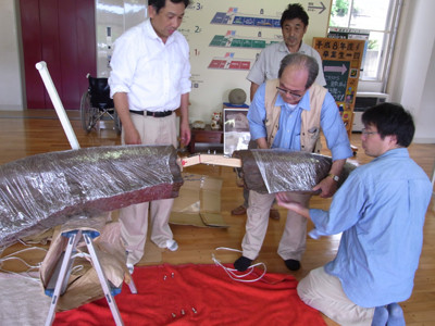 f:id:Naturalhistory:20100714110848j:image f:id:Naturalhistory:20100714110848j:image