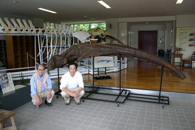 f:id:Naturalhistory:20100714120217j:image f:id:Naturalhistory:20100714120217j:image