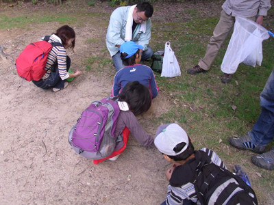f:id:Naturalhistory:20101017140553j:image