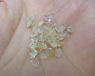 f:id:Naturalhistory:20101017171812j:image