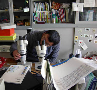 f:id:Naturalhistory:20101117121110j:image
