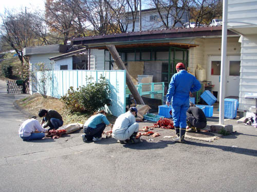 f:id:Naturalhistory:20101127113943j:image