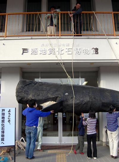 f:id:Naturalhistory:20101223150045j:image