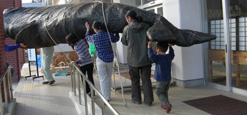 f:id:Naturalhistory:20101223150109j:image