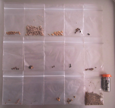 f:id:Naturalhistory:20101226104438j:image