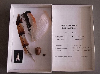 f:id:Naturalhistory:20110202121848j:image