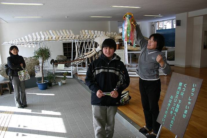 f:id:Naturalhistory:20110202140014j:image