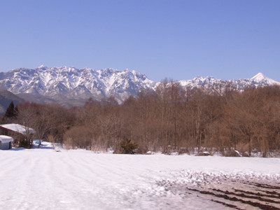 f:id:Naturalhistory:20110222135921j:image