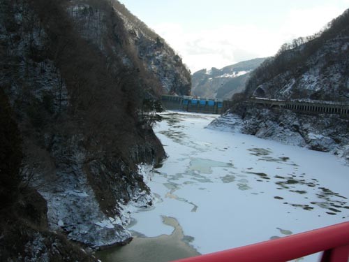 f:id:Naturalhistory:20110303104703j:image