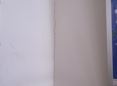 f:id:Naturalhistory:20110311170008j:image