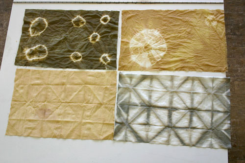 f:id:Naturalhistory:20110312120820j:image