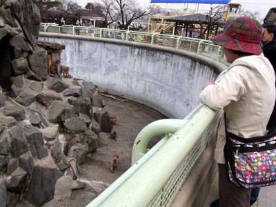 f:id:Naturalhistory:20110320132608j:image