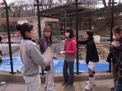 f:id:Naturalhistory:20110320143236j:image