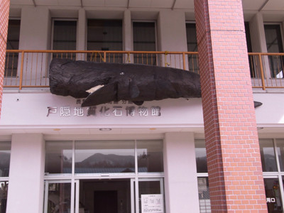 f:id:Naturalhistory:20110324092700j:image