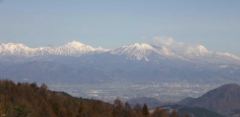f:id:Naturalhistory:20110329172112j:image