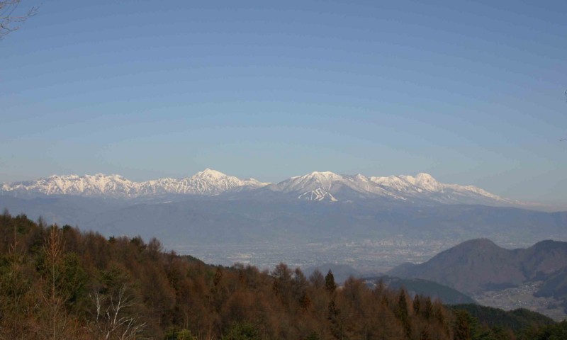 f:id:Naturalhistory:20110401101056j:image