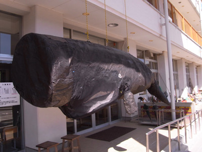 f:id:Naturalhistory:20110406130438j:image