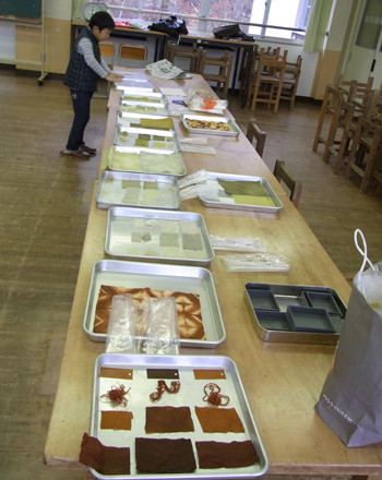 f:id:Naturalhistory:20110409114452j:image