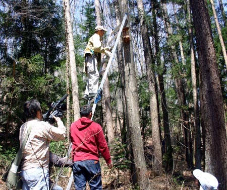 f:id:Naturalhistory:20110417110302j:image f:id:Naturalhistory:20110417110302j:image