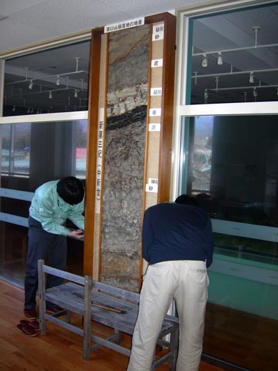 f:id:Naturalhistory:20110421110804j:image