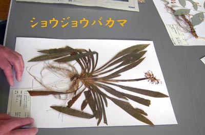 f:id:Naturalhistory:20110422102906j:image f:id:Naturalhistory:20110422102906j:image