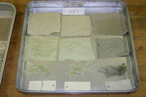 f:id:Naturalhistory:20110514155731j:image