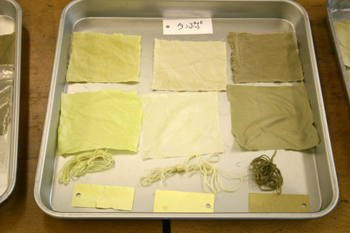 f:id:Naturalhistory:20110514155745j:image