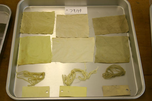 f:id:Naturalhistory:20110514155757j:image