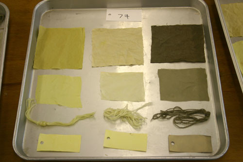 f:id:Naturalhistory:20110514155808j:image