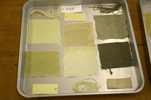 f:id:Naturalhistory:20110514155821j:image