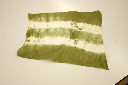 f:id:Naturalhistory:20110514155847j:image