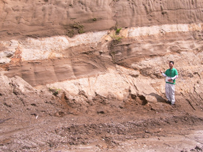 f:id:Naturalhistory:20110615095606j:image
