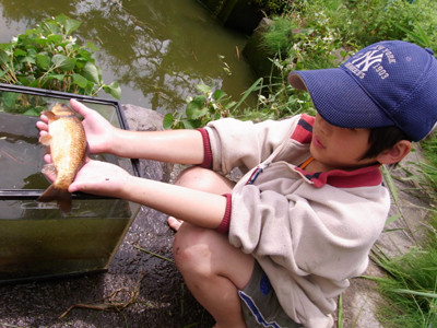 f:id:Naturalhistory:20110619120303j:image
