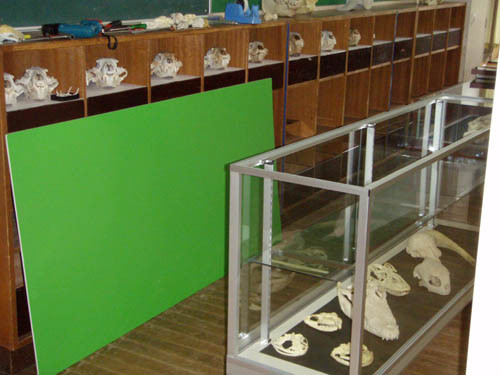 f:id:Naturalhistory:20110703162011j:image