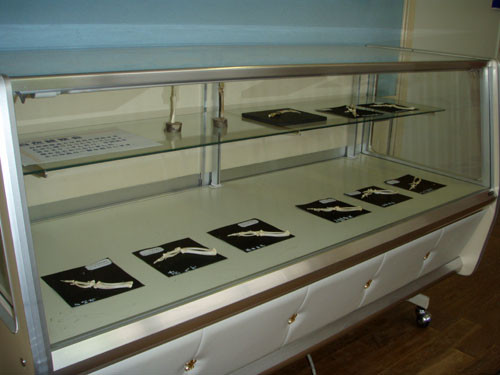 f:id:Naturalhistory:20110717151453j:image