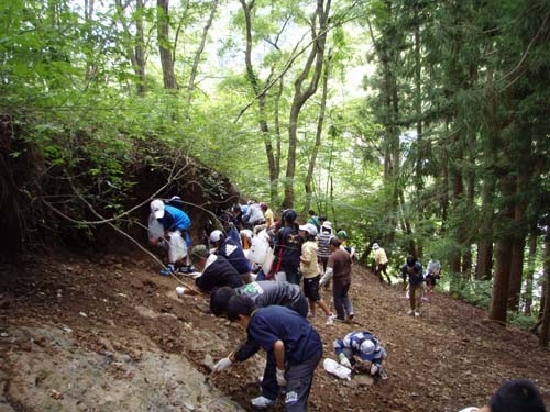 f:id:Naturalhistory:20110722115425j:image