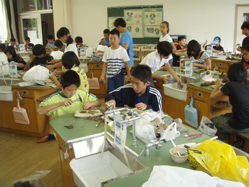 f:id:Naturalhistory:20110722150018j:image