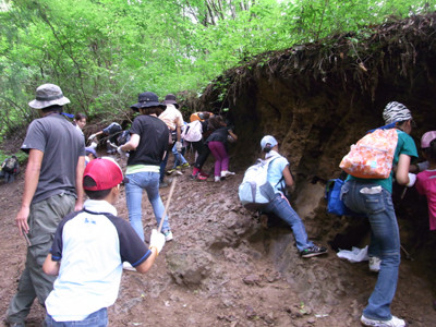 f:id:Naturalhistory:20110727111006j:image