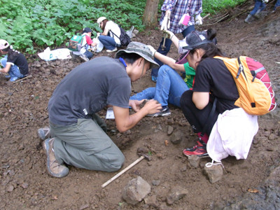 f:id:Naturalhistory:20110727114006j:image