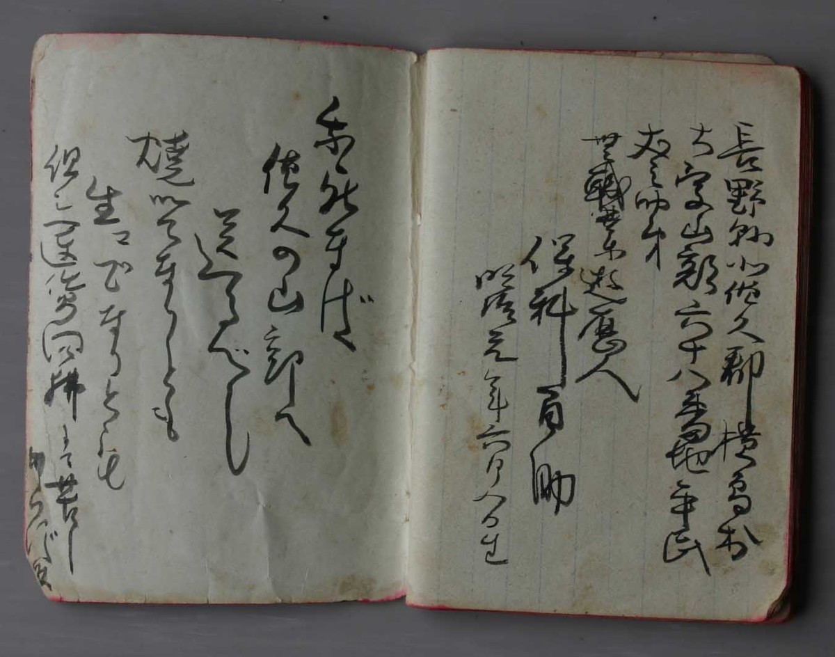f:id:Naturalhistory:20110727150249j:plain