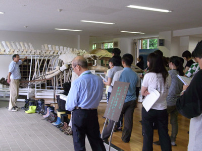 f:id:Naturalhistory:20110728154611j:image