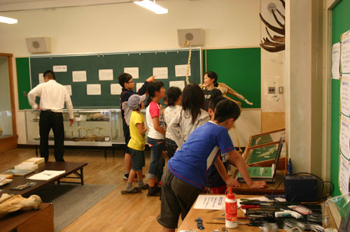 f:id:Naturalhistory:20110729142619j:image