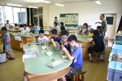f:id:Naturalhistory:20110729152131j:image