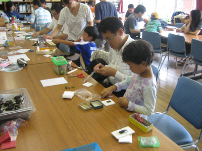 f:id:Naturalhistory:20110806133950j:image