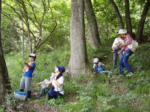 f:id:Naturalhistory:20110813110337j:image